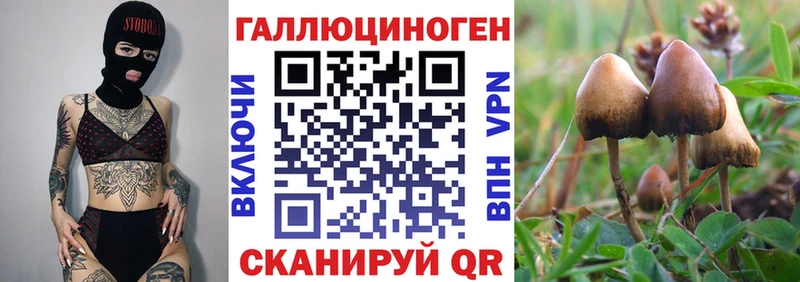 Галлюциногенные грибы мицелий  Александровское 